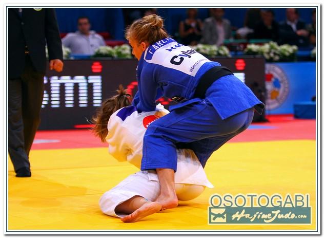 WCPARIS2011 90060